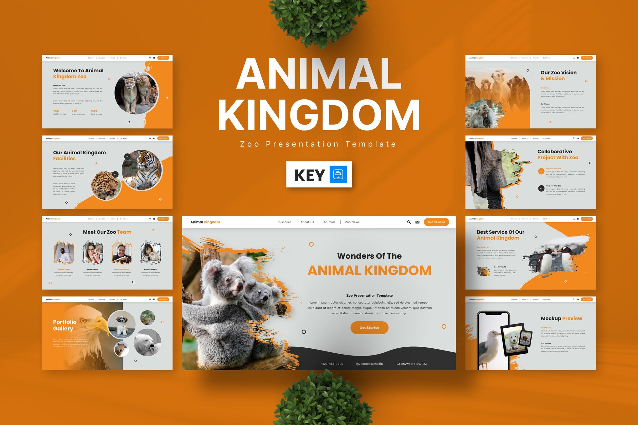 K0096动物王国Keynote模板可编辑动态效果商务教学PPT素材Animal Kingdom – Zoo Keynote Templates